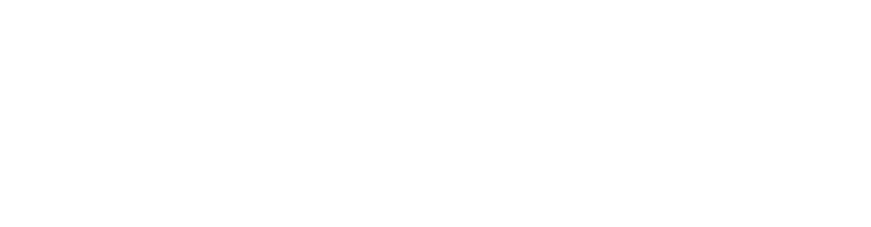 Silent Observers Logo@4x
